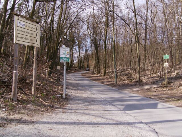 Datei:Pappelplatz.jpg