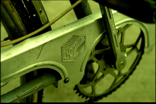 Datei:Mondia2-6864.jpg
