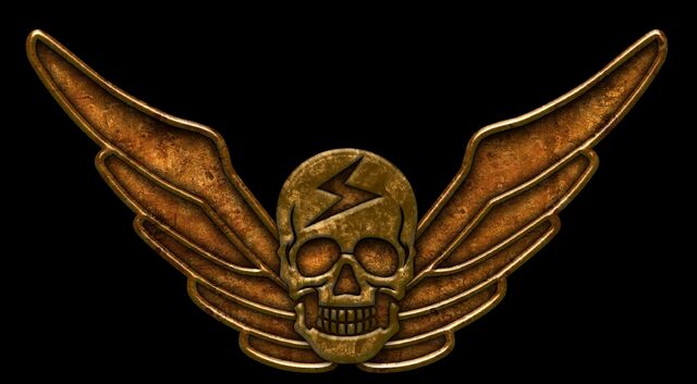 File:Shadaloo Banner.jpg