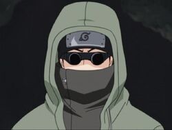 Shino Aburame