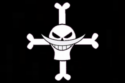 Whitebeardflagge