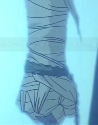 Archivo:Vendaje Especial.png