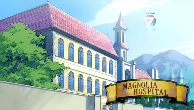 File:Magnolia Hospital.jpg