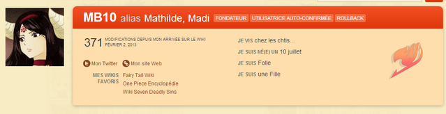 Fichier:Personnalisation3.png