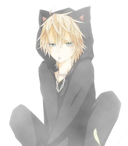 Fichier:Navig Rina.png