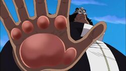 Bap paw Fruit