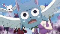 Happy worried that Erza may break the giants