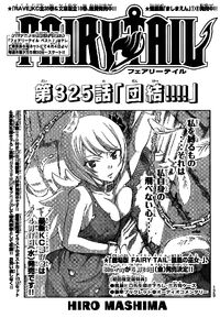 Cover 325