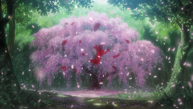 File:Sakura01.jpg