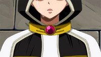 Future Lucy cries over Natsu's victory
