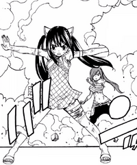 Wendy protects Erza