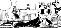 Wally in kitty helmet