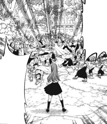 File:Erza stops the ruckus.jpg