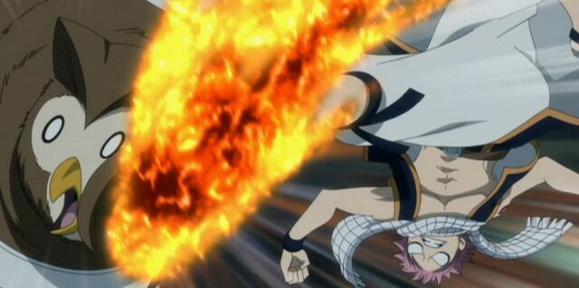 Plik:Natsu kontra Fukuro.jpg