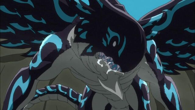 Datei:Acknologia.jpg