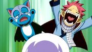 Reaction to Lisanna