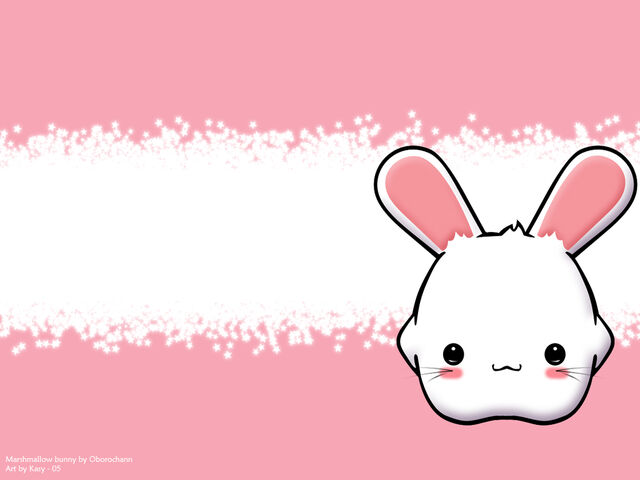 File:Cute marshmallow.jpeg