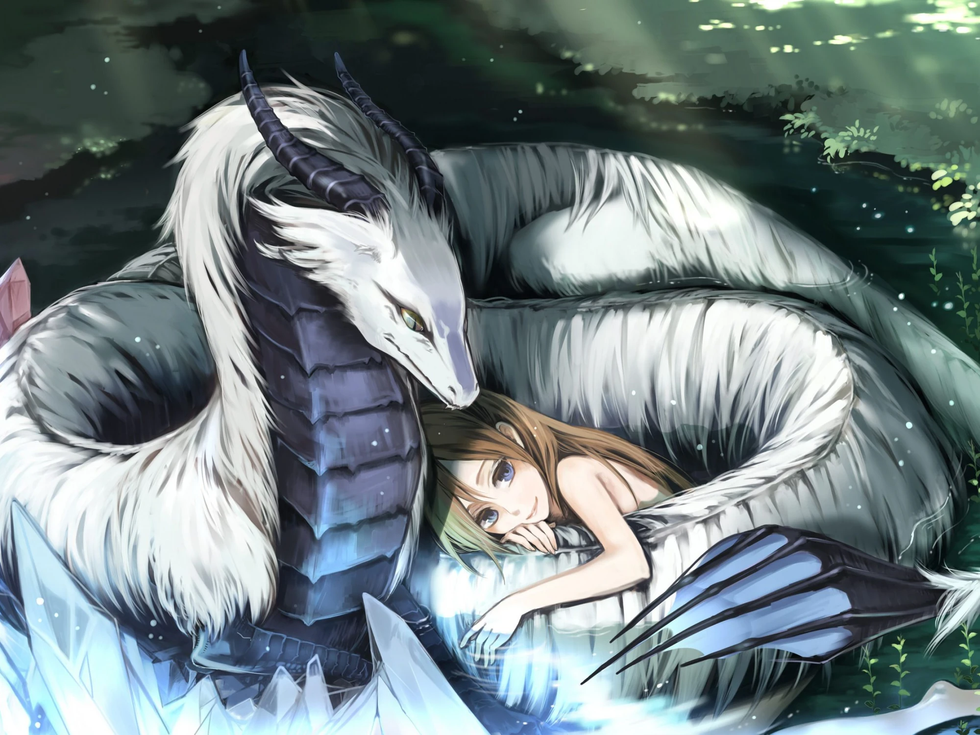 Fairy Tail Chasseur De Dragon De Glace
