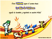 Invitacion wintex