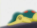 Cyndaquil debilitado