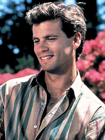 File:Falcon-crest-lorenzo-lamas-1.jpg