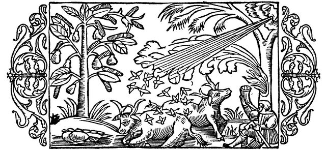 File:Natural alliance.jpg