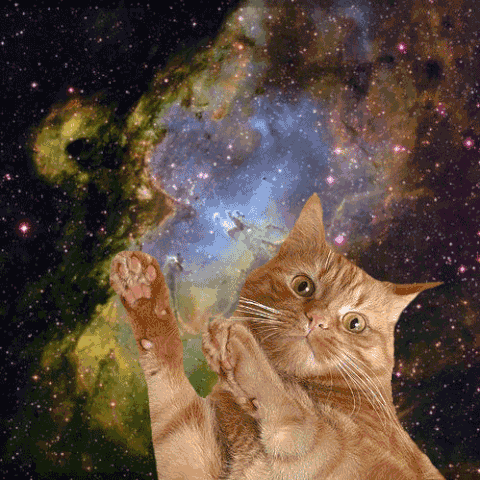 File:Tumblr mz0i38G7oW1sgxfddo1 500.gif