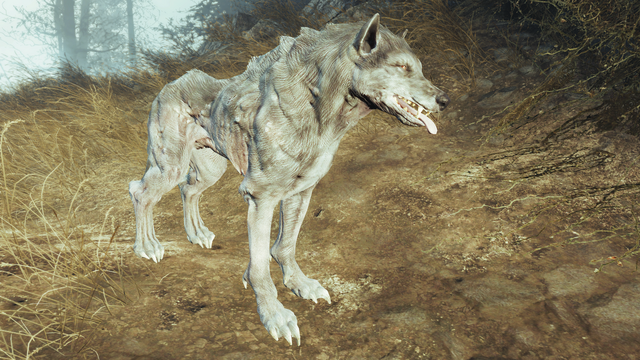 File:Fo4FH grey wolf.png