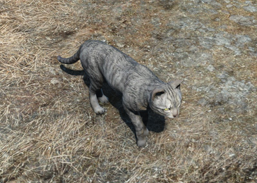 File:Dora Fo4.png