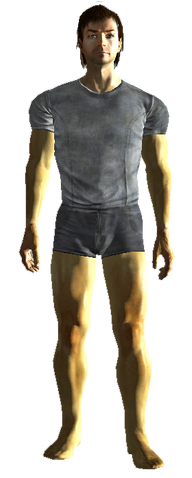 File:NCR mercenary.png