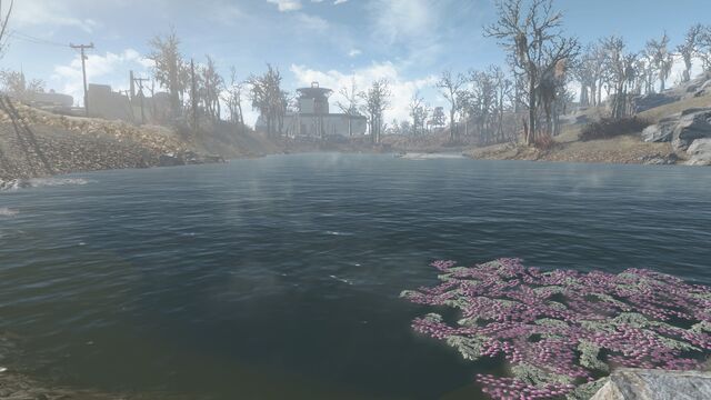 File:Dark Hollow pond.jpg