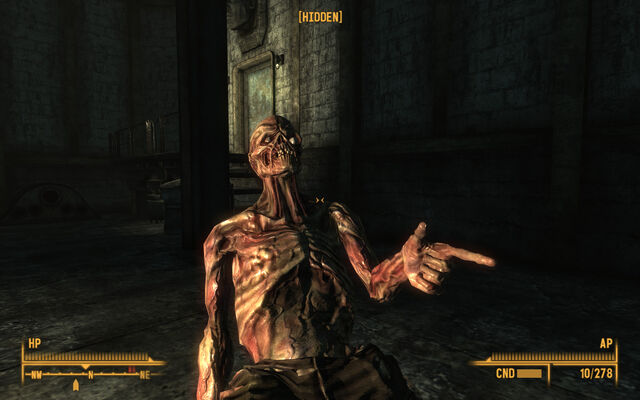 File:Eyyyyyyyy.jpg