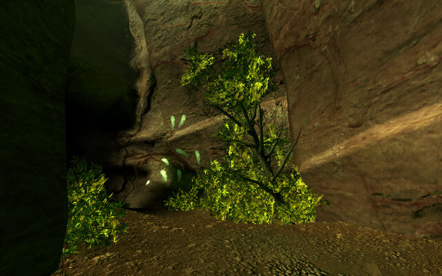 File:Fallen Rock Cave.jpg