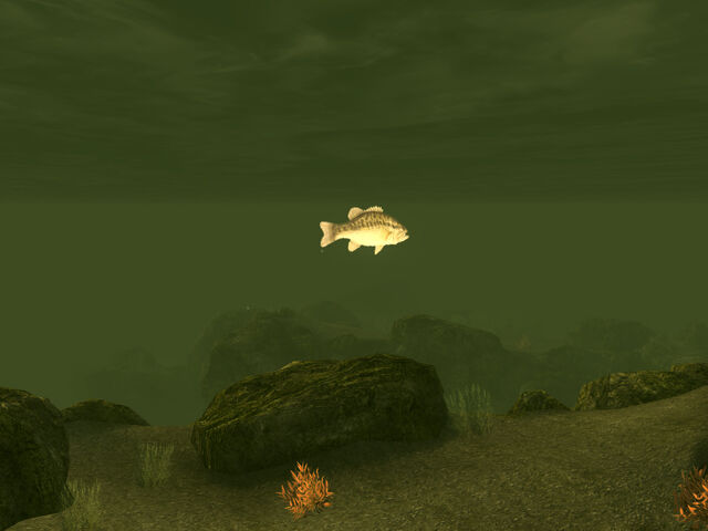 File:Fish Lake Mead.jpg