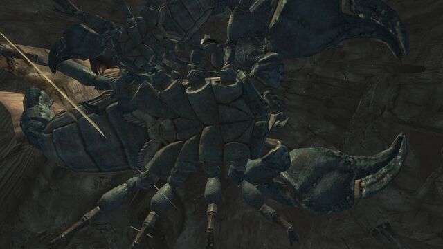 File:RadscorpionNVbellyview.jpg