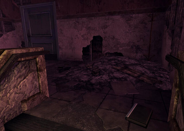 File:FNVDM torn journal.jpg