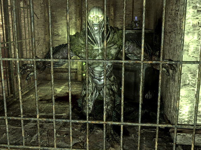 File:Swamplurk queen trappers shack.jpg