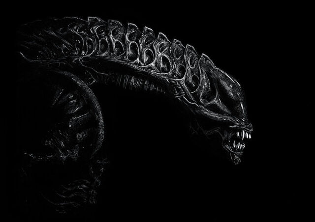File:Xenomorph by Juncoscience.jpg