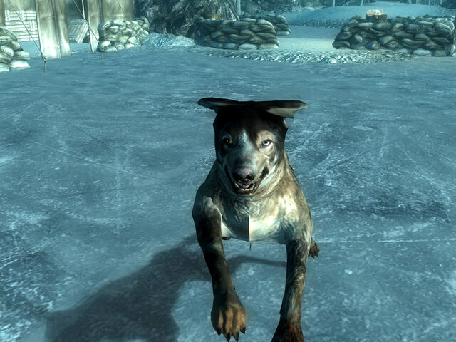 File:Guard dog OA.jpg