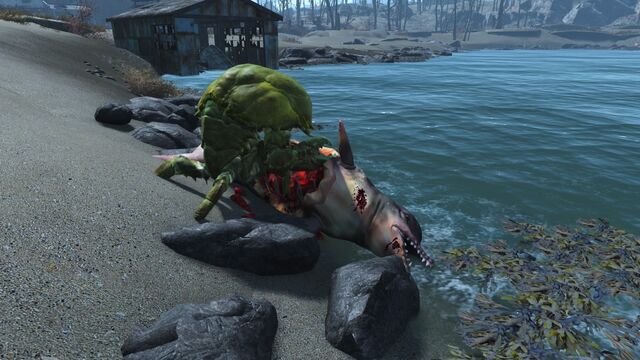 File:FO4Sea creature being eaten.jpg