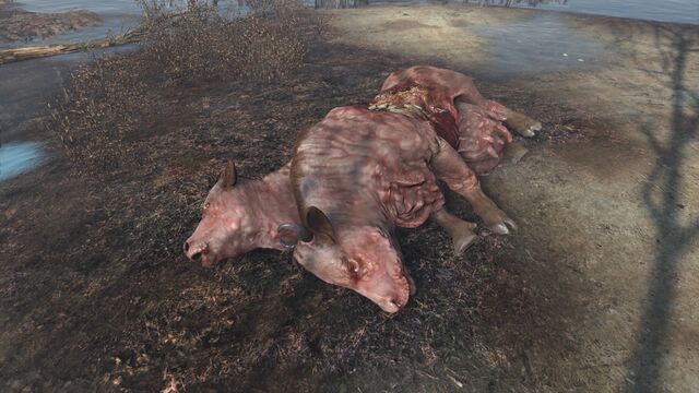 File:FO4 Bess.jpg