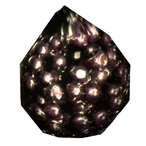 File:Punga seed.png