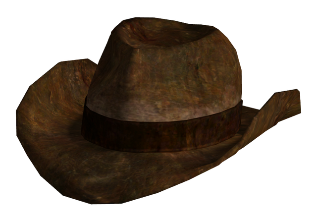 File:Ranger brown hat.png