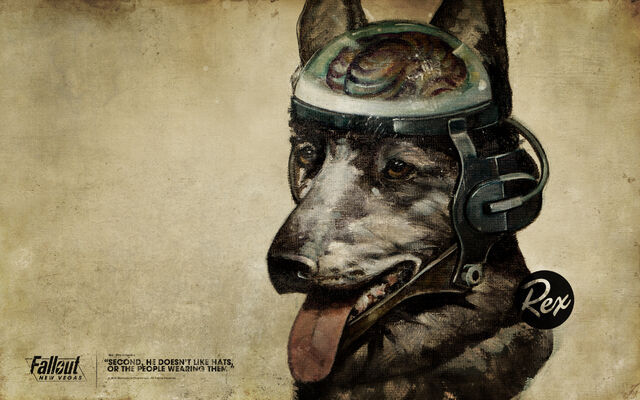 File:Rexcyborgdog-840263.jpeg