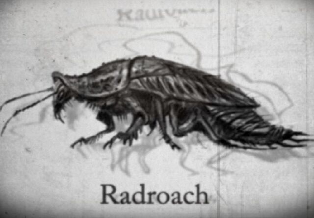 File:Roachstory.jpg