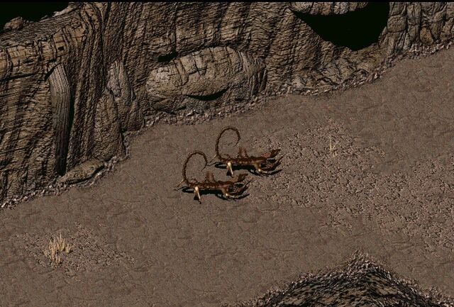File:Randomscorpion.jpg