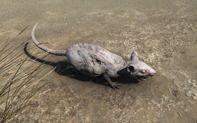 File:Radrat.png