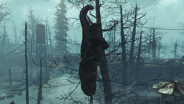 File:Gulper-Tree-FarHarbor.jpg