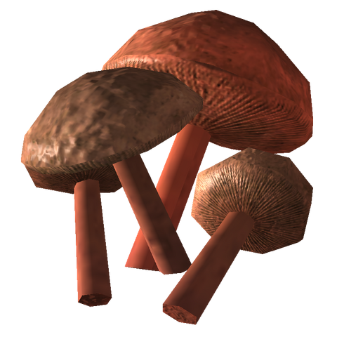 File:Cave fungus.png