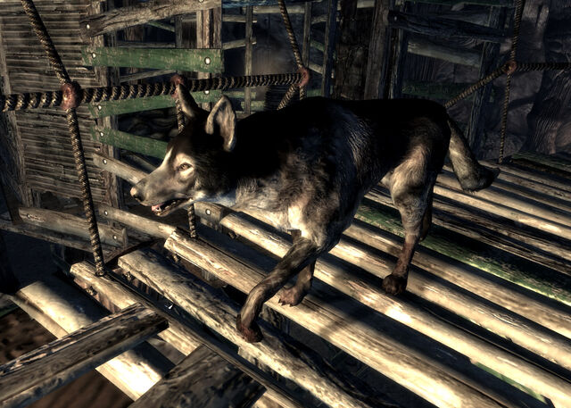File:Fo3 LL Ginger.jpg